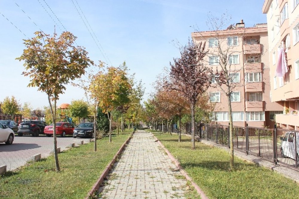 2023 PARKI