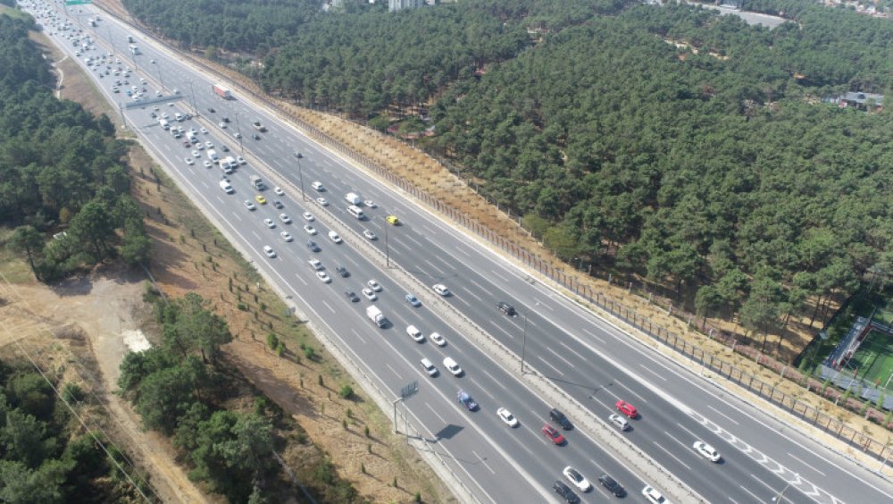 ZEYTİN BAHÇESİ